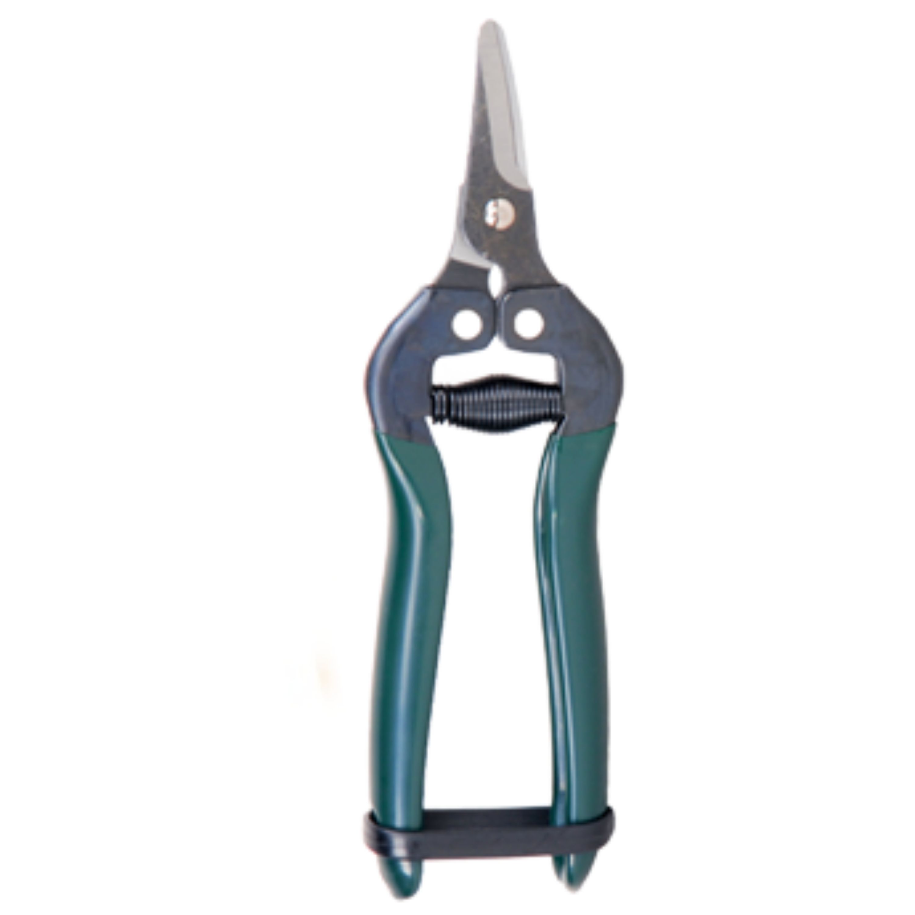 قیچی میوه چین سرصاف BP-165