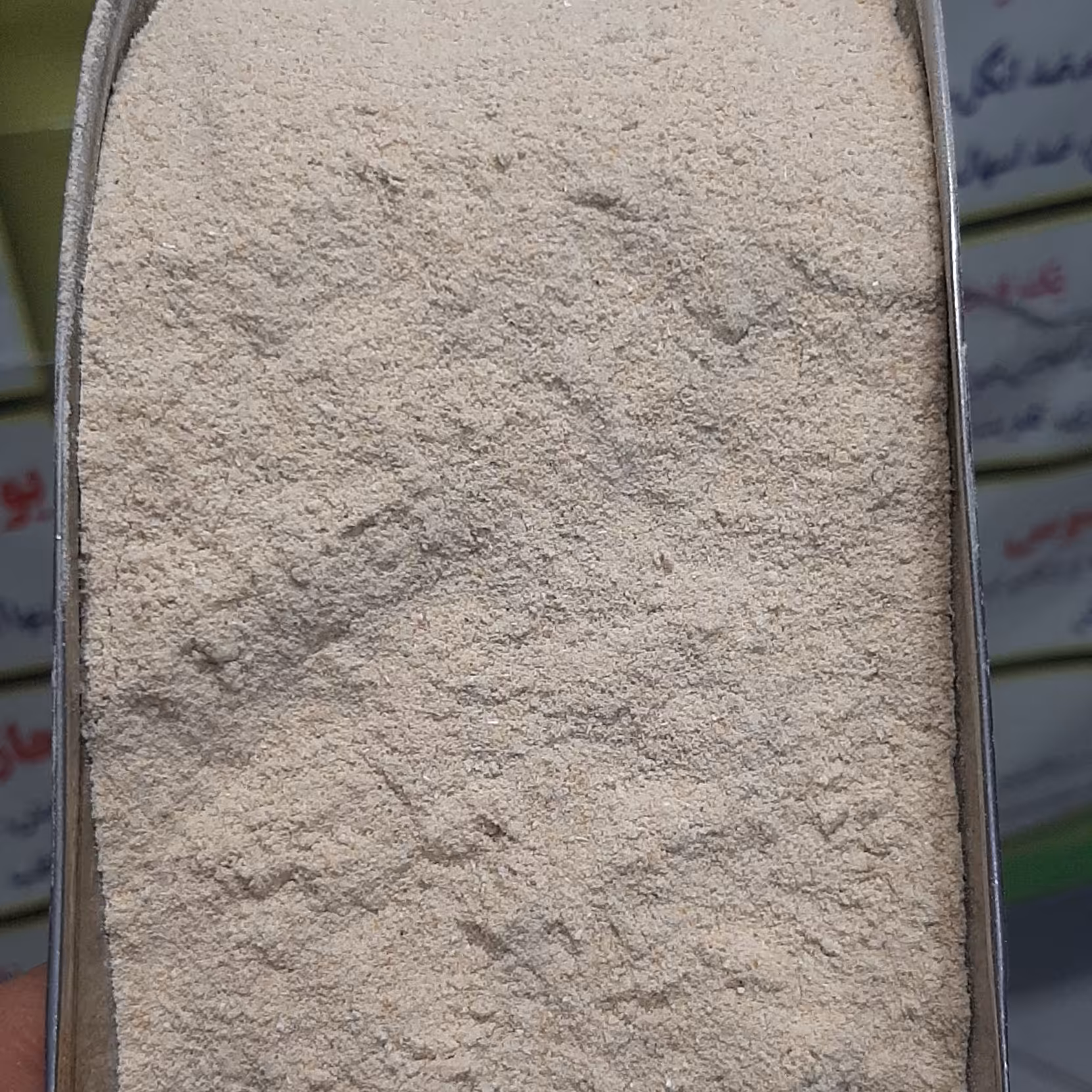 پودر سیر  اعلا خوش بو