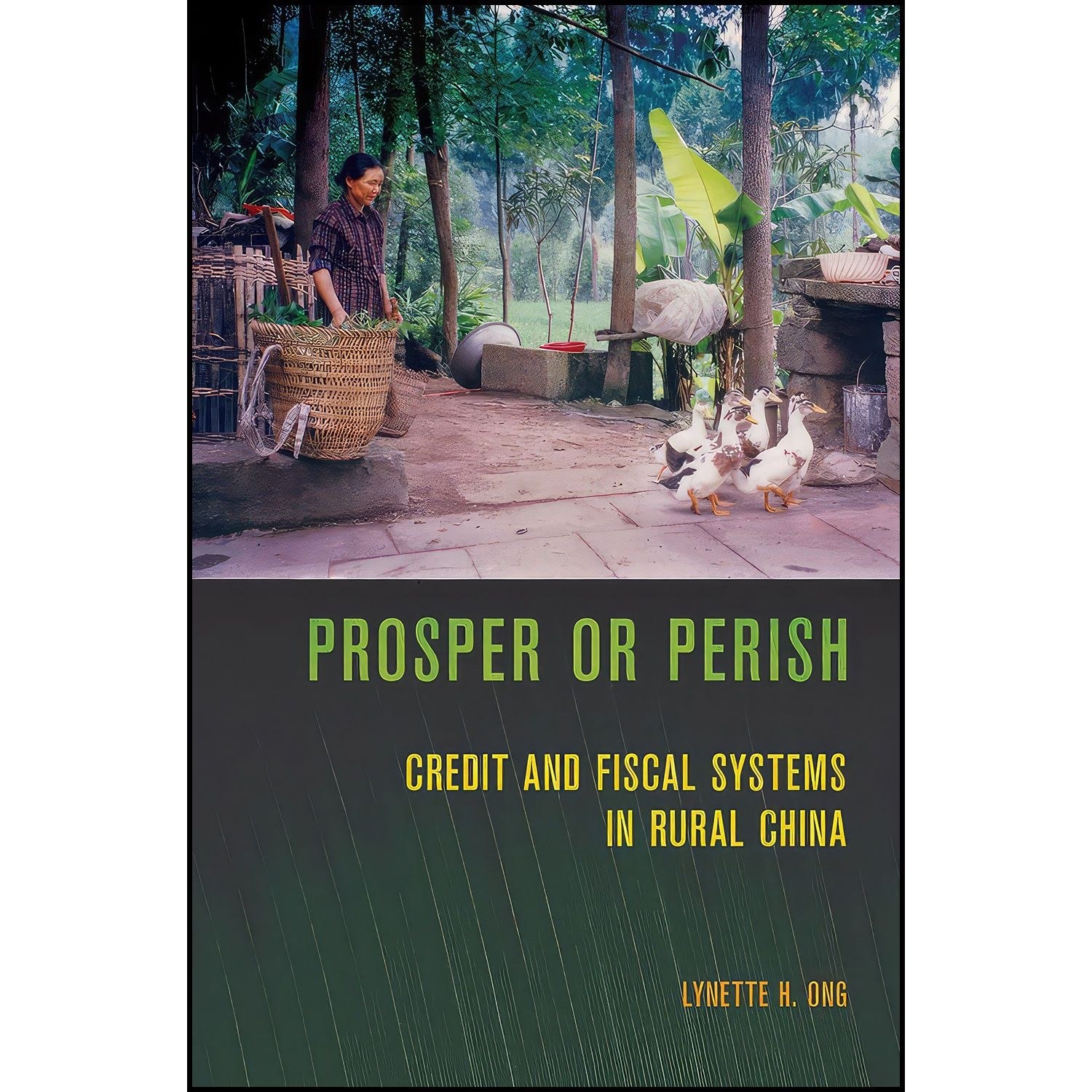 کتاب زبان اصلی Prosper or Perish اثر Lynette H Ong