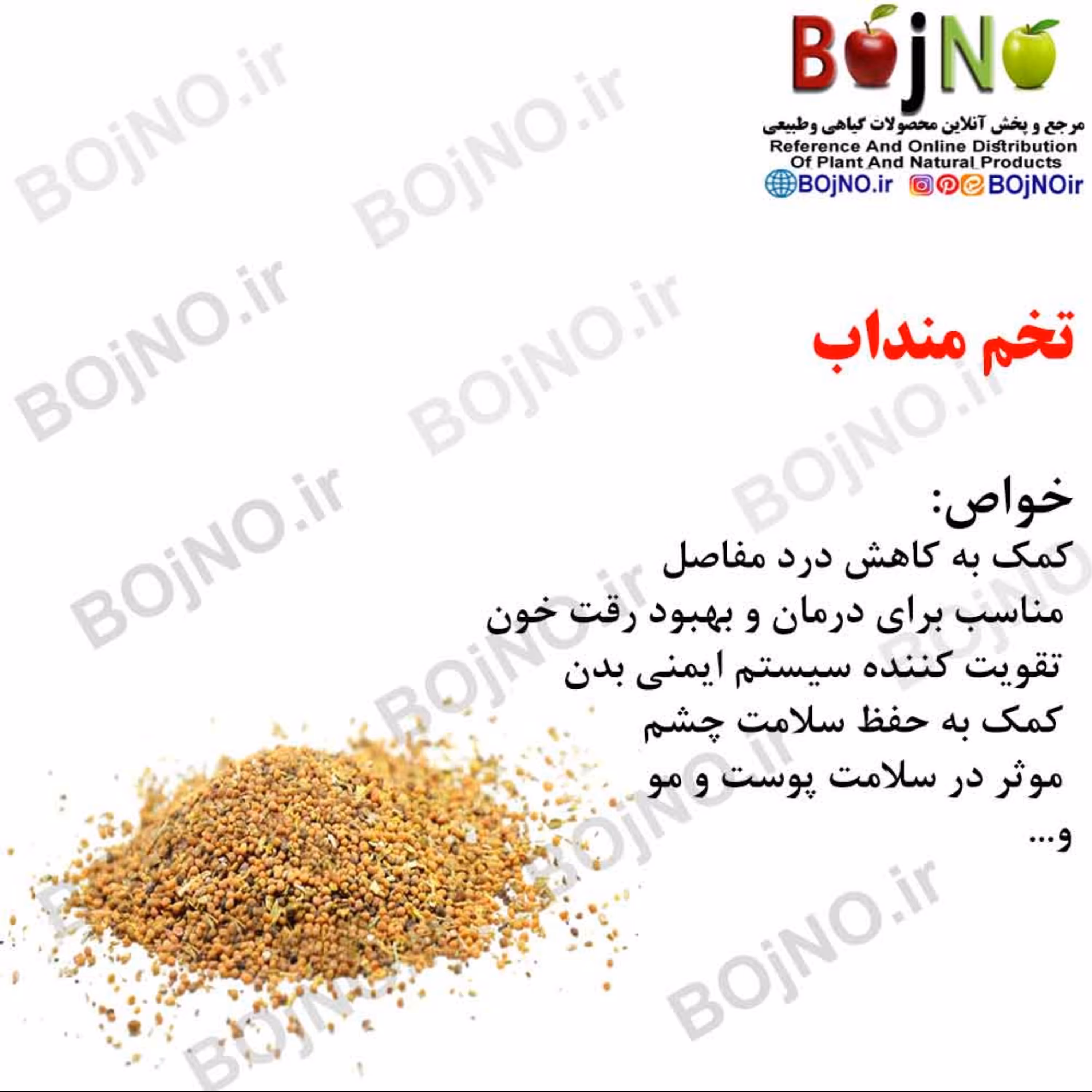 تخم منداب 100گرمی