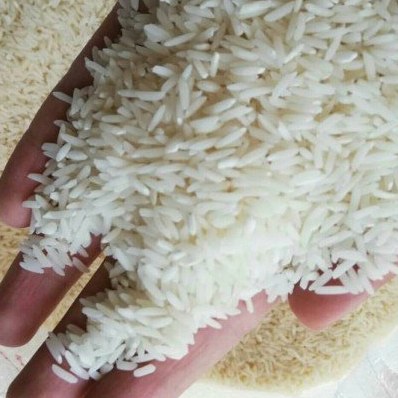 برنج هاشمی امسال خوشپخت و سفید صدفی در وزن های مختلف