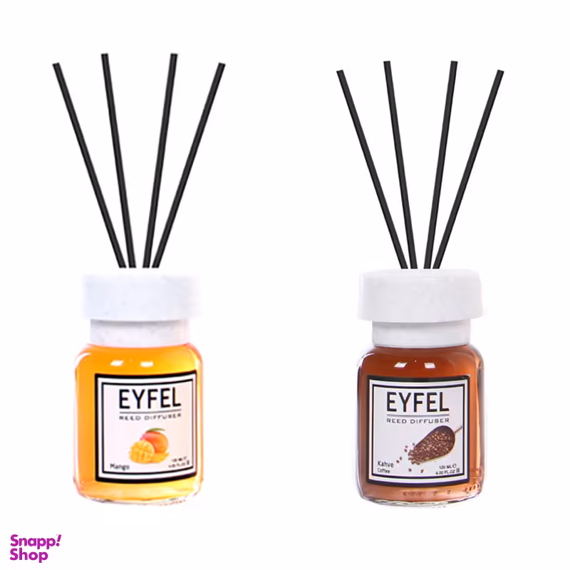 خوشبو کننده هوا مدل انبه و قهوه مجموعه 2 عددی