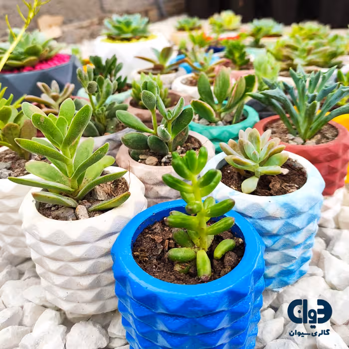 گلدان جاقلمی سنگ مصنوعی رنگ دلخواه ارتفاع 6.5 قطر 6