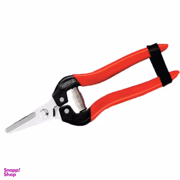 قیچی میوه چین واستر (Vaster)