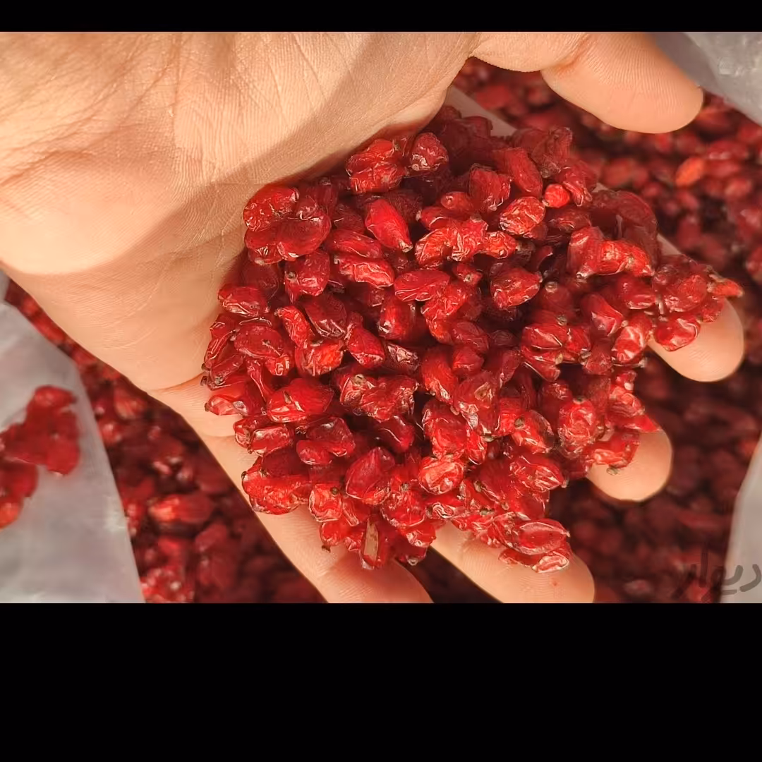 زرشک درجه یک قاینات.یک کیلویی