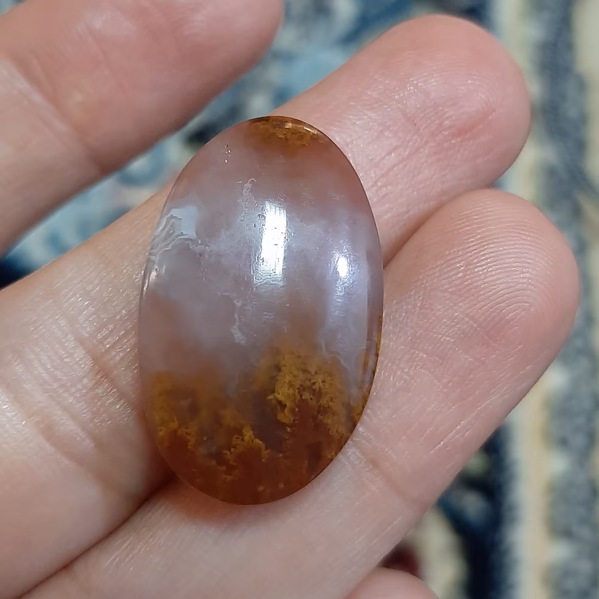 شجر شعله ای