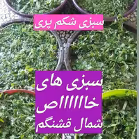سبزی شکم پری شمال