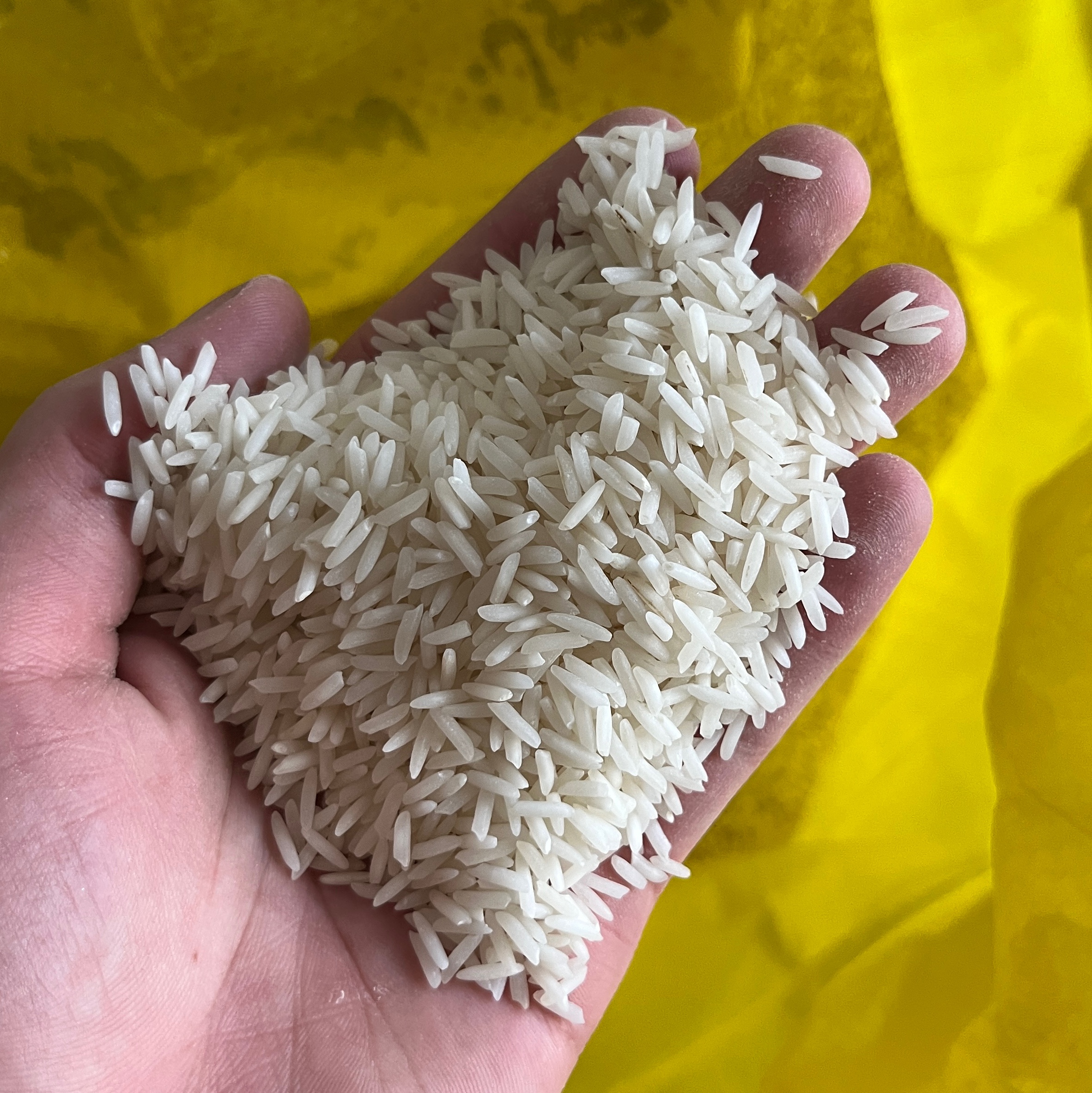برنج شیرودی خوش پخت و درجه 1 (10 کیلو)