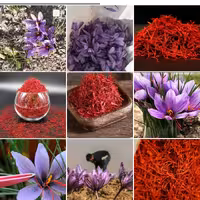 یک مثقال زعفران سرگل ویژه درجه یک صادراتی قائنات خرده فروشی