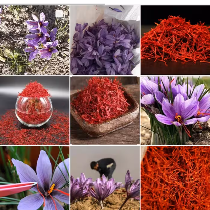 یک مثقال زعفران سرگل ویژه درجه یک صادراتی قائنات خرده فروشی