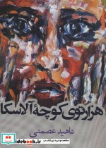 قیمت و خرید کتاب هزارتوی کوچه آلاسکا اثر ناهید عصمتی | ایده بوک