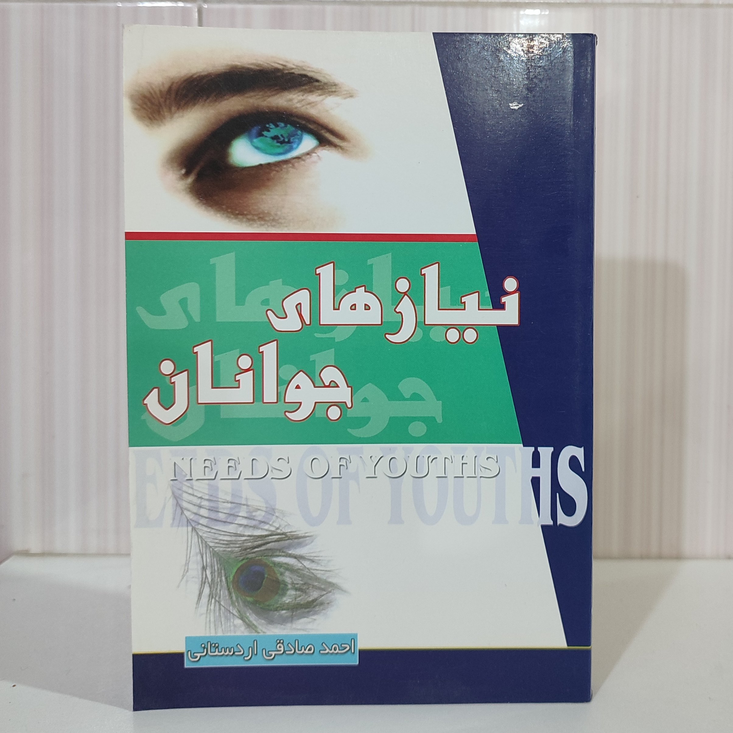 نیازهای جوانان  صادقی اردستانی 304صفحه