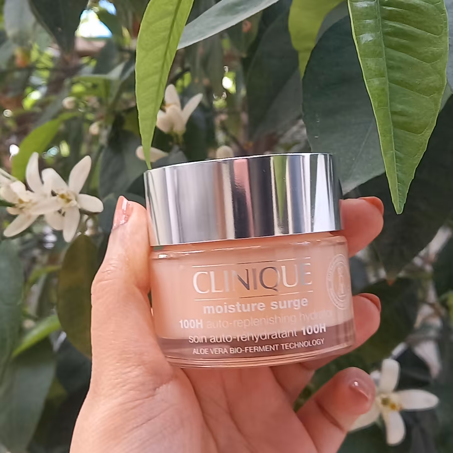 آبرسان 100 ساعته کلینیک 