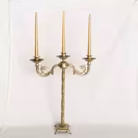 شمعدان سردار دریاFZSL