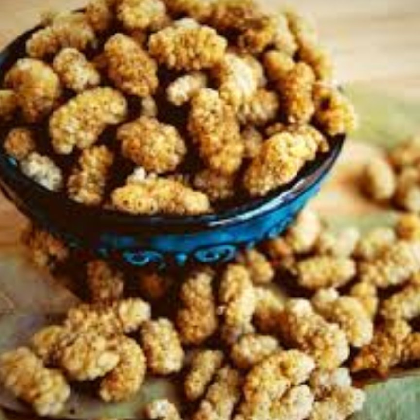 توت خشک در بسته بندی (100 گرمی)
