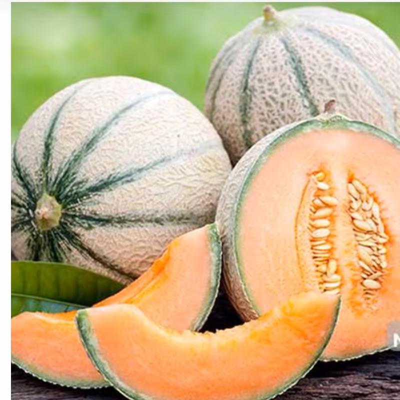 بذر طالبی سمسوری(بسته 10عددی) 