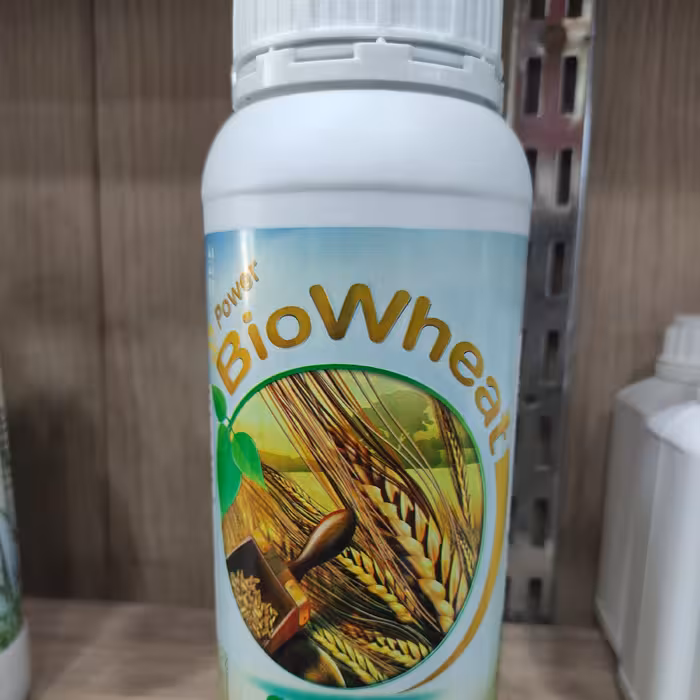کود تقویتی مخصوص گندم