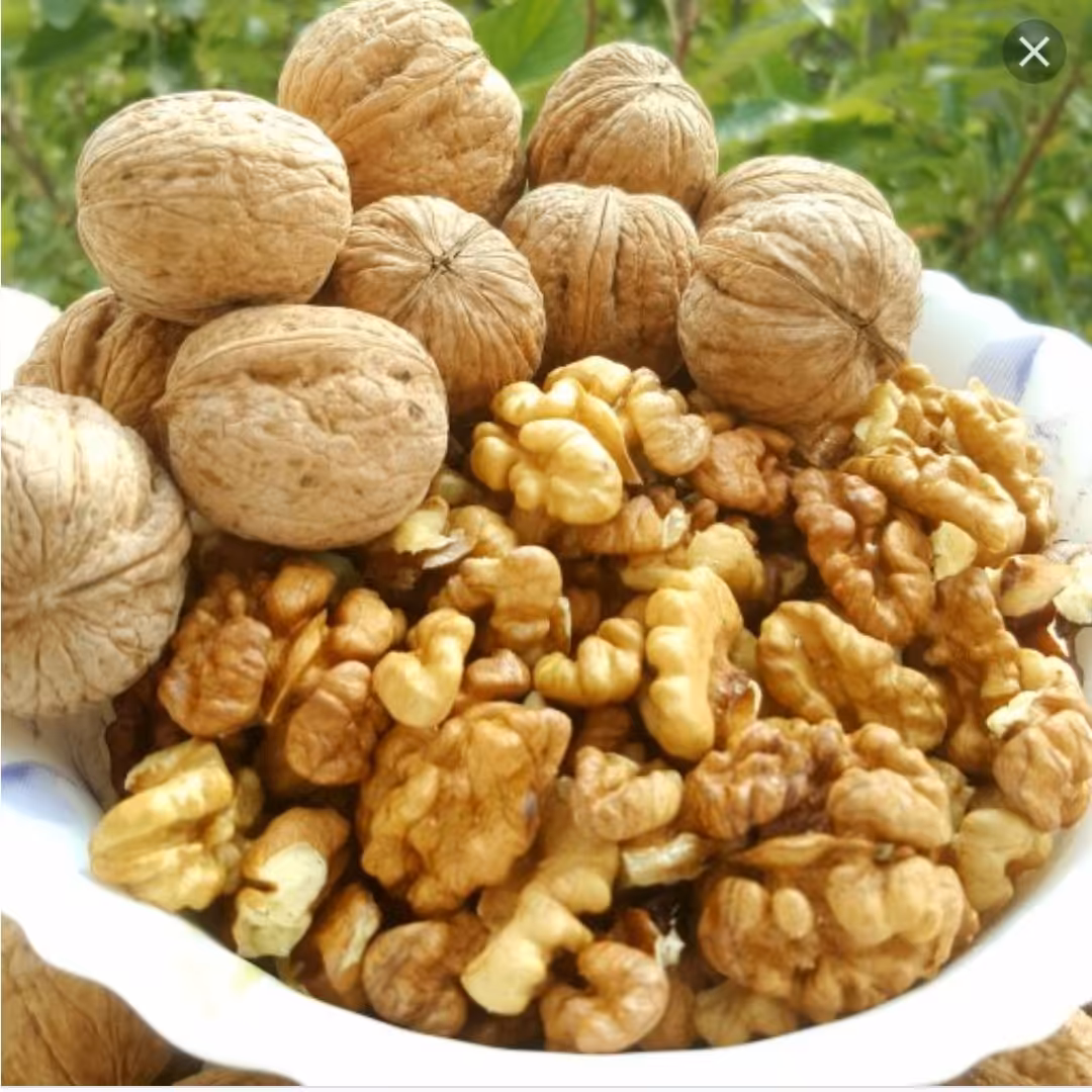 مغز گردو  اعلاء درجه یک چرب 500 گرمی با تضمین کیفیت و بشرط 