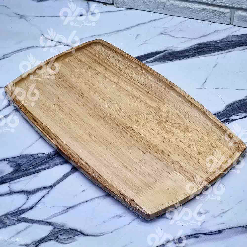 دیس رابروود بیضی 20*33سانت کدR102