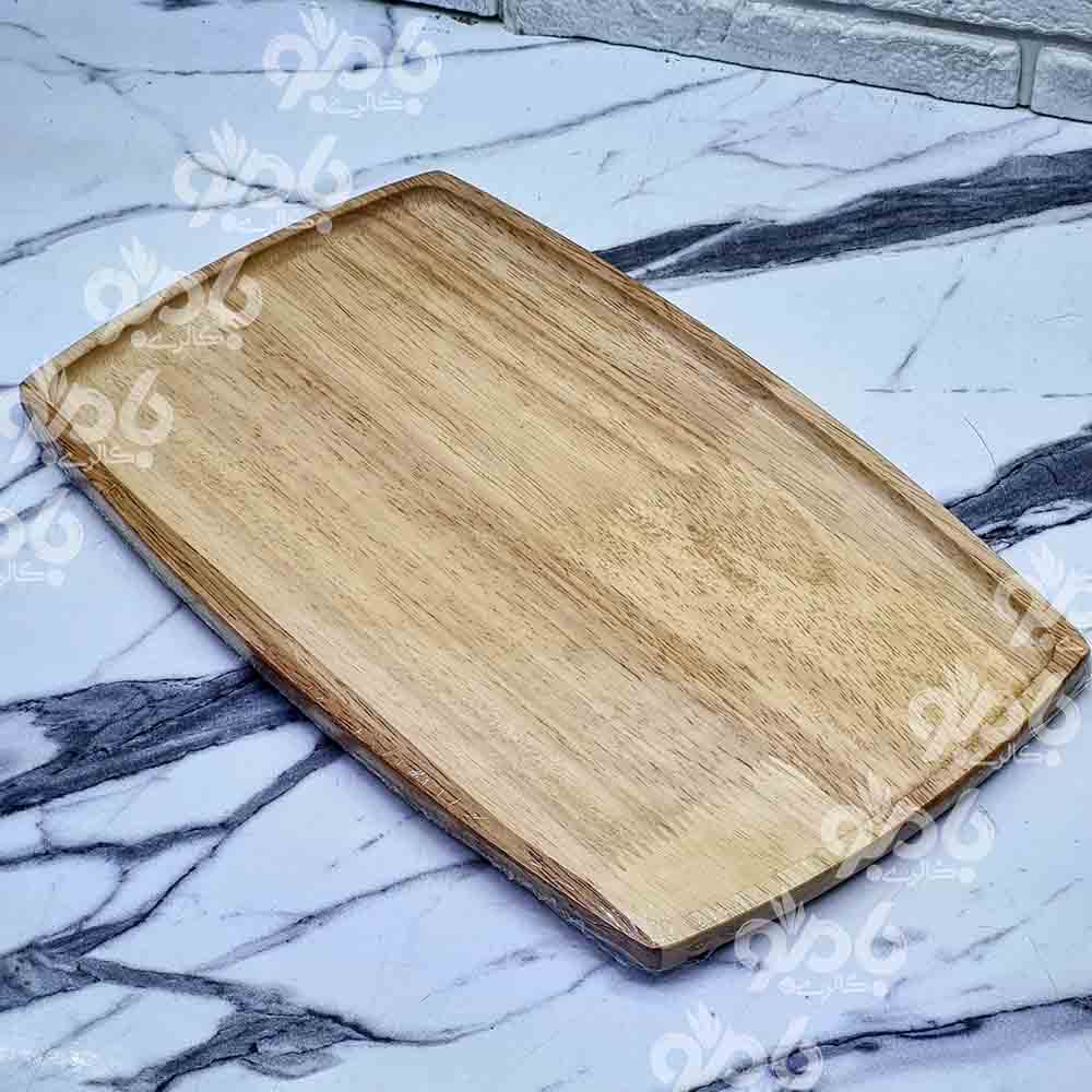 دیس رابروود بیضی 20*33سانت کدR102