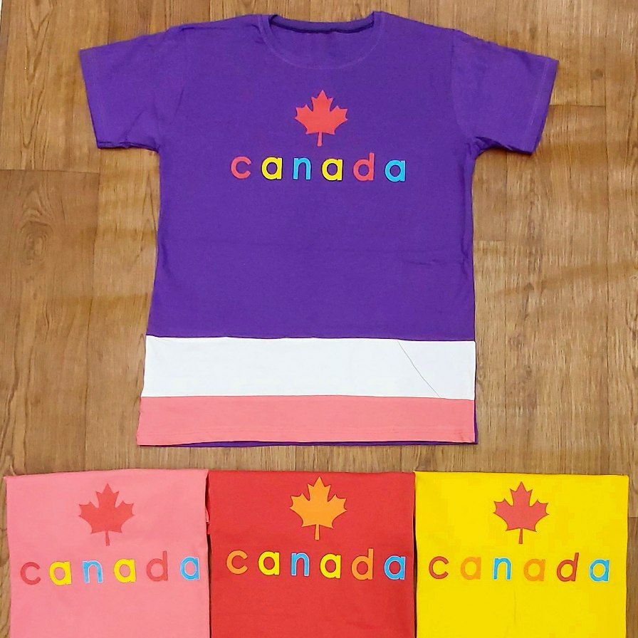 تیشرت تک پنبه ای طرح canada در دو سایز 65 و 70 دارای 4 رنگ زیبا طبق تصویر