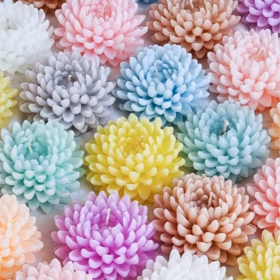 شمع گل داوودی رنگی