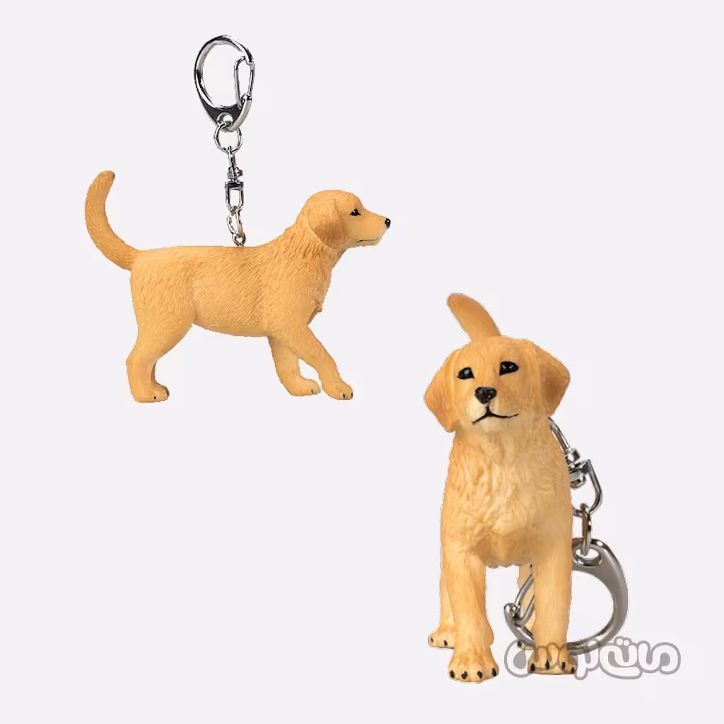 جاکلیدی سگ لابرادور موجو

