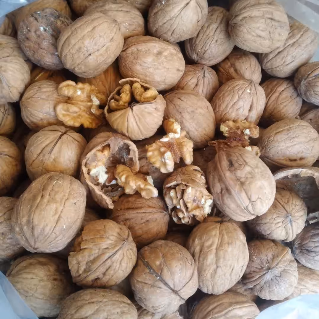 گردو  پرمغز امسالی با کمترین پوکی مغزسفید با ضمانت   بسته بندی یک کیلویی سفارشات کلی با تخفیف میپذیرم