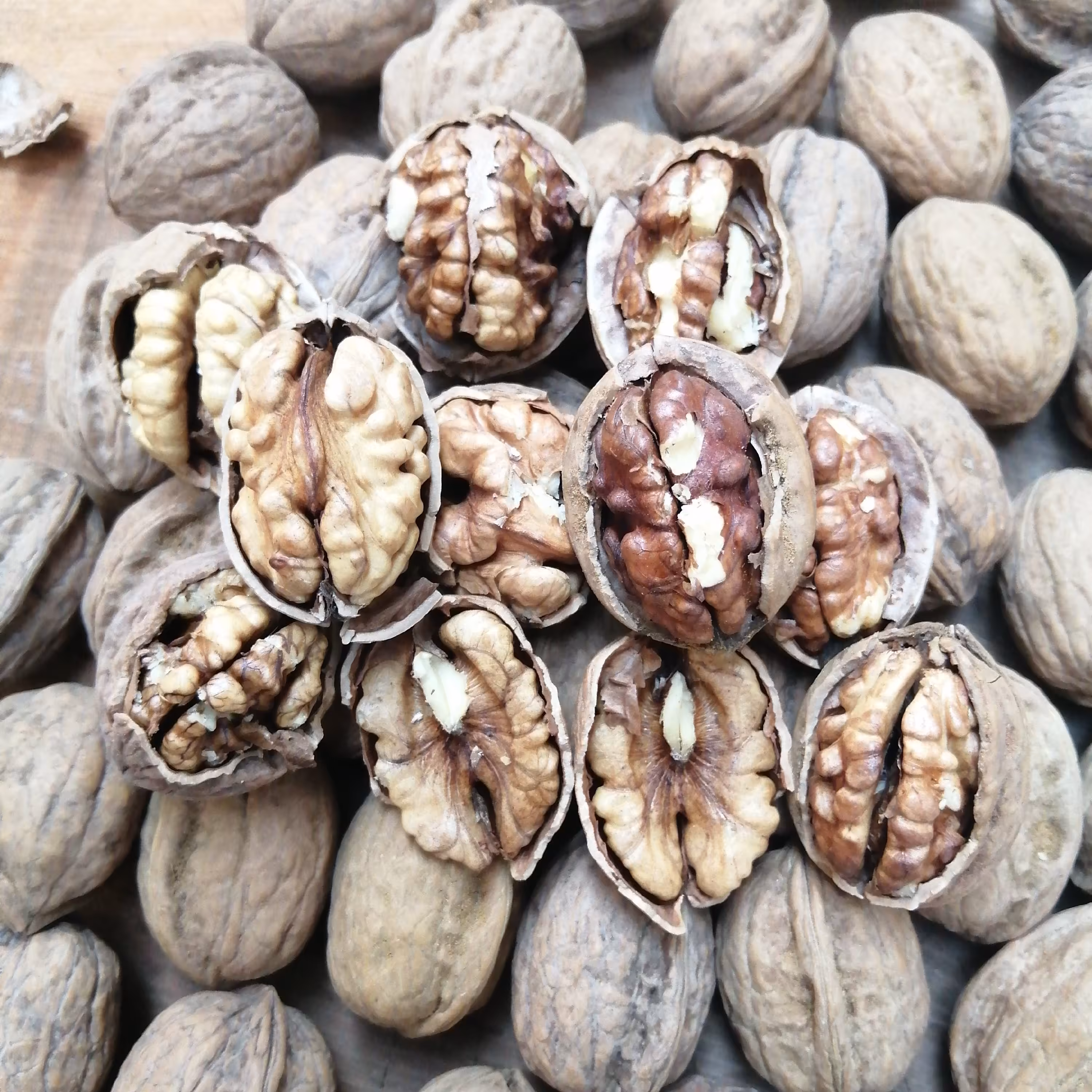  گردو لشگری  تویسرکان 100  تضمینی 