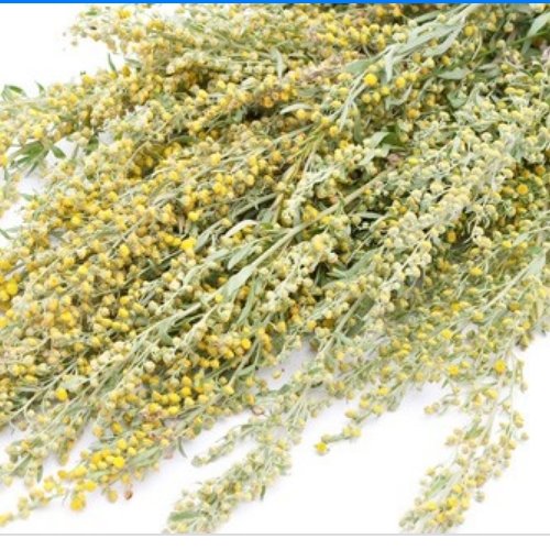 گیاه درمنه 100 گرم