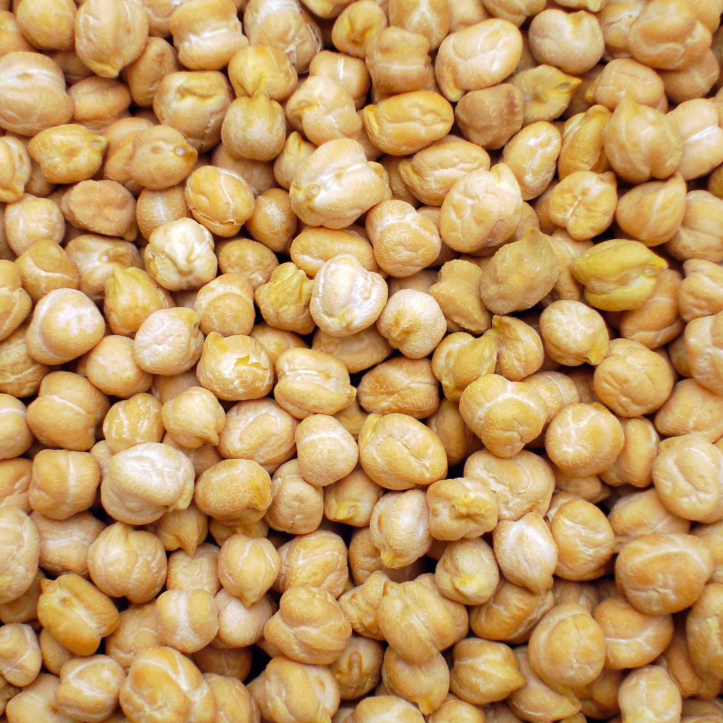 نخود اعلا ارگانیک سایز درشت خوش پخت و زود پز 