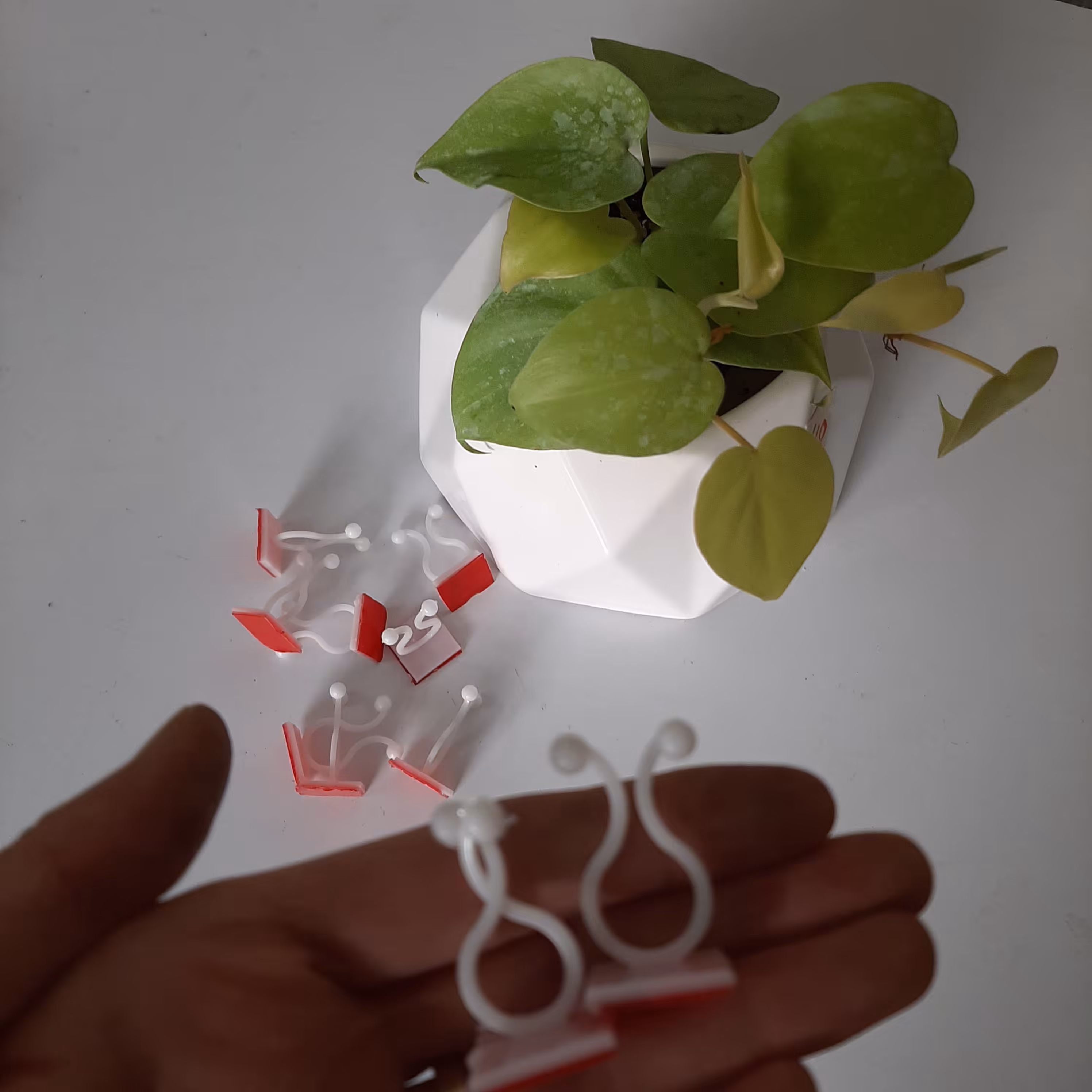 پک ده عددی گیره ی جادویی رنگ سبز