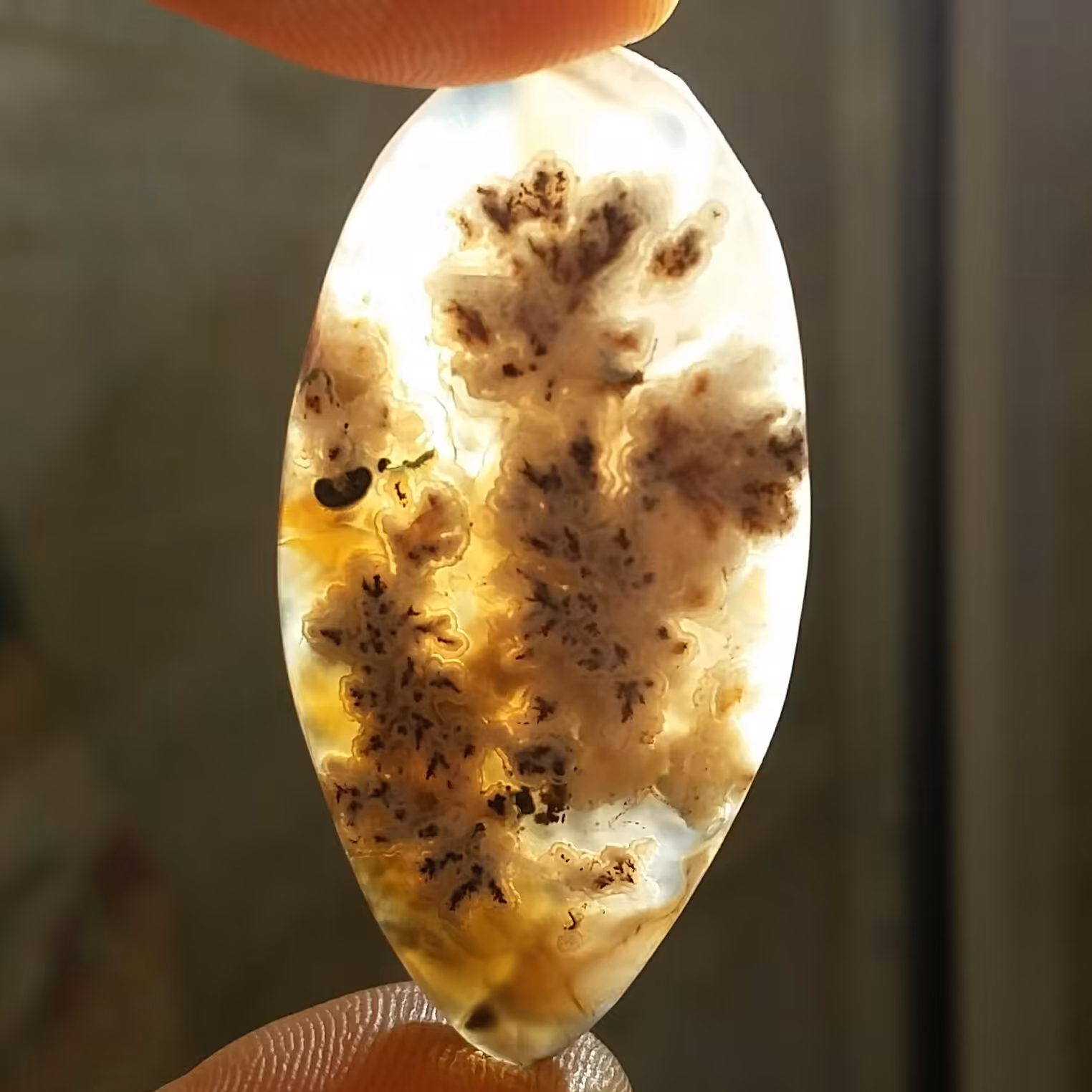 نگین شجر شکوفه
زمینه خرمایی دیدنی
خوش رنگ و بسیار زیبا
خوش تراش
تراش اشک
شااااهکار خلقت 100 در 100 طبیعی سایز درشت مدالی