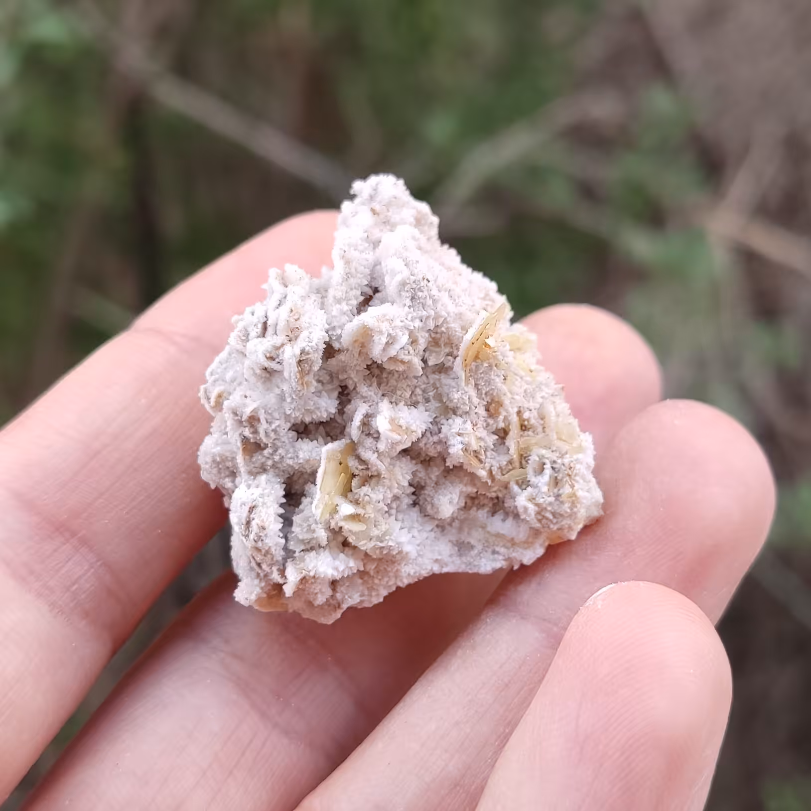 سنگ ولفونیت با هم رشدی کلسیت کلکسیونی (کد17)