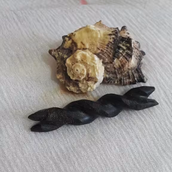 عرج السواحل بسیار کمیاب 