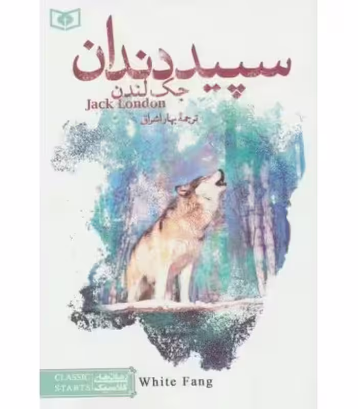 کتاب رمان های کلاسیک 20