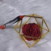 رژ لب 311 مدادی پلادیس ضد آب و بدون سرب