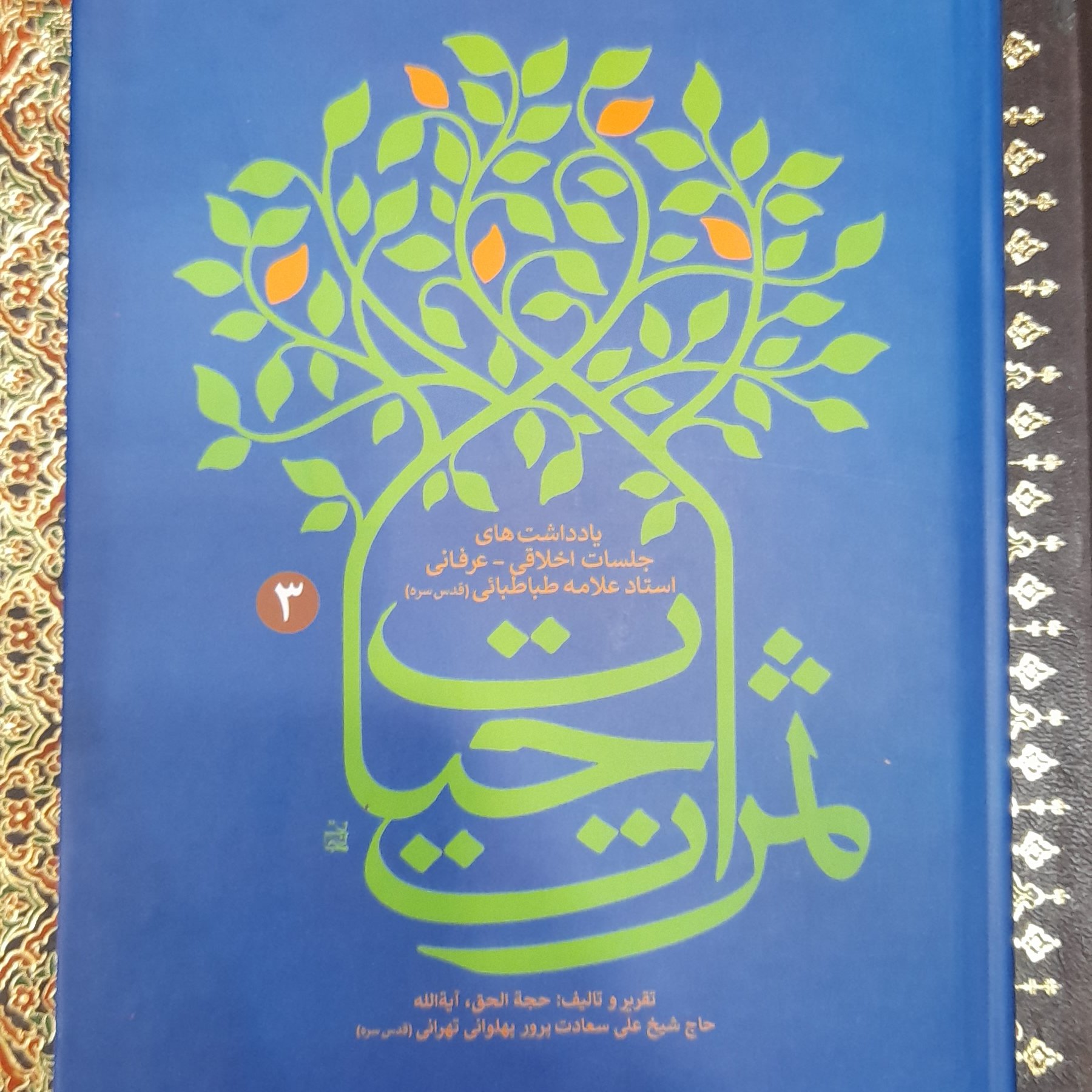 ثمرات الحیات جلد3 استاد سعادت پرور( پهلوانی)