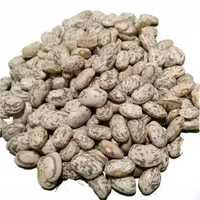 لوبیا چیتی ارسال رایگان 