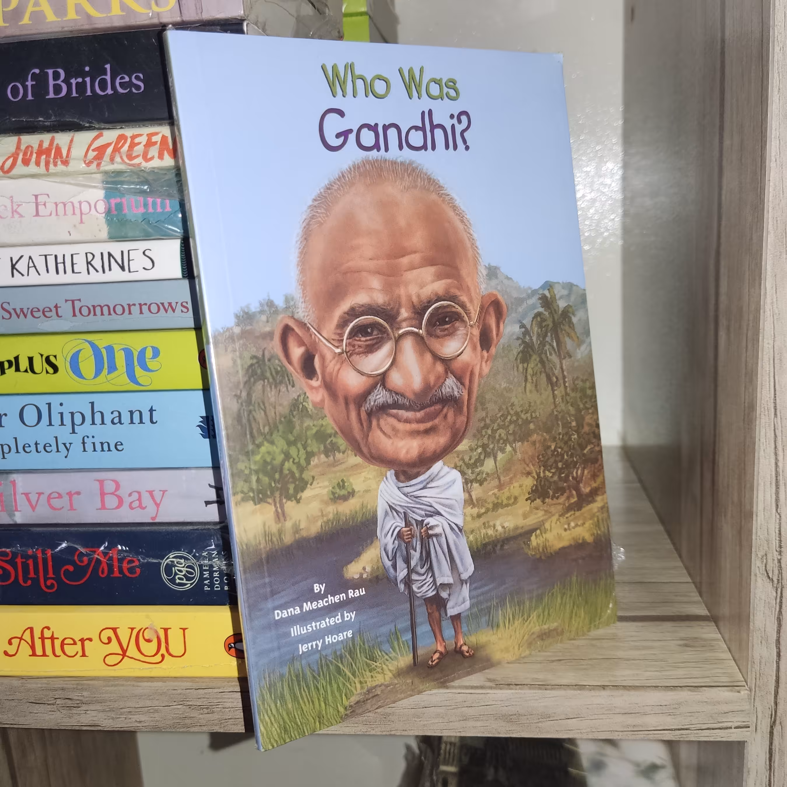 کتاب زبان اصلی Who Was Gandhi? (گاندی که بود؟) - اثر دانا میچن رو