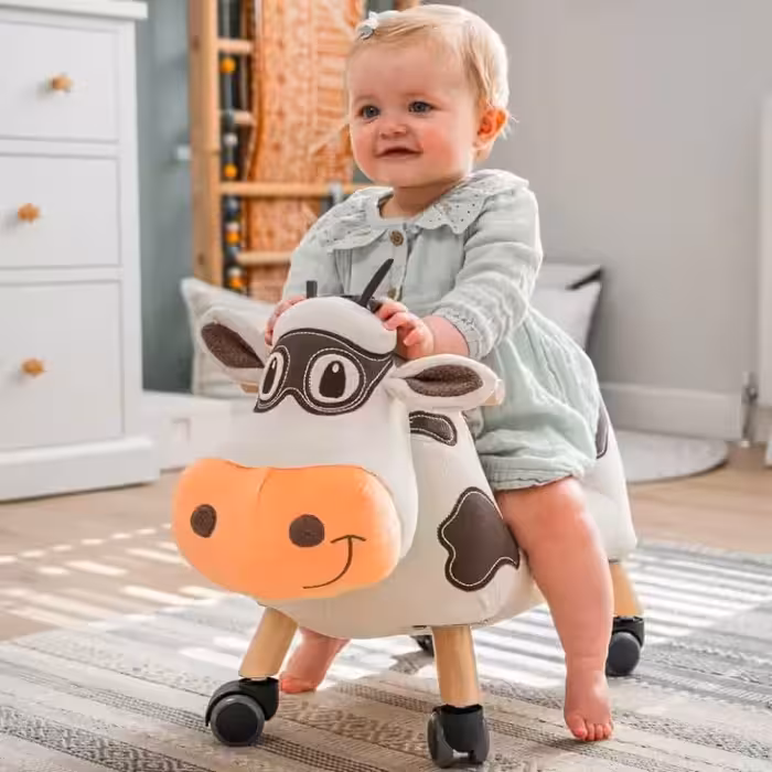 گاو چرخدار موبرت little bird كد 3059