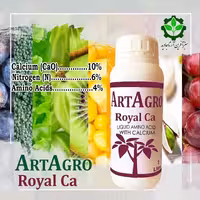 کود اسپانیایی مایع کلسیمی کلات شده با اسید آمینه