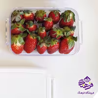 فريزري دومان درنا 700ميل 248