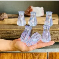نمک پاش 6عددی دلسا
