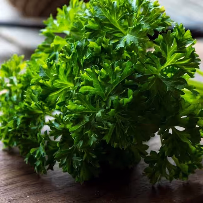 سبزی جعفری تازه خرد شده خانگی 500گرمی