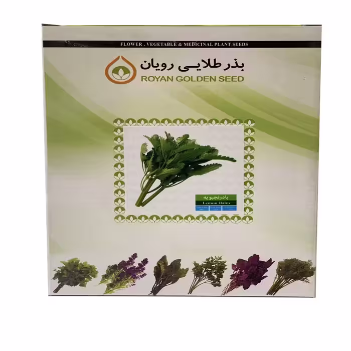 بذر بادرشبویه 1 کیلویی - بذر طلایی رویان
