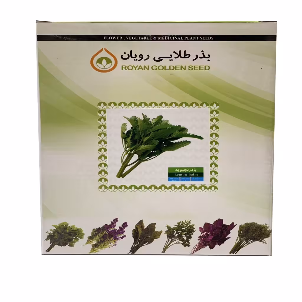 بذر بادرشبویه 1 کیلویی - بذر طلایی رویان