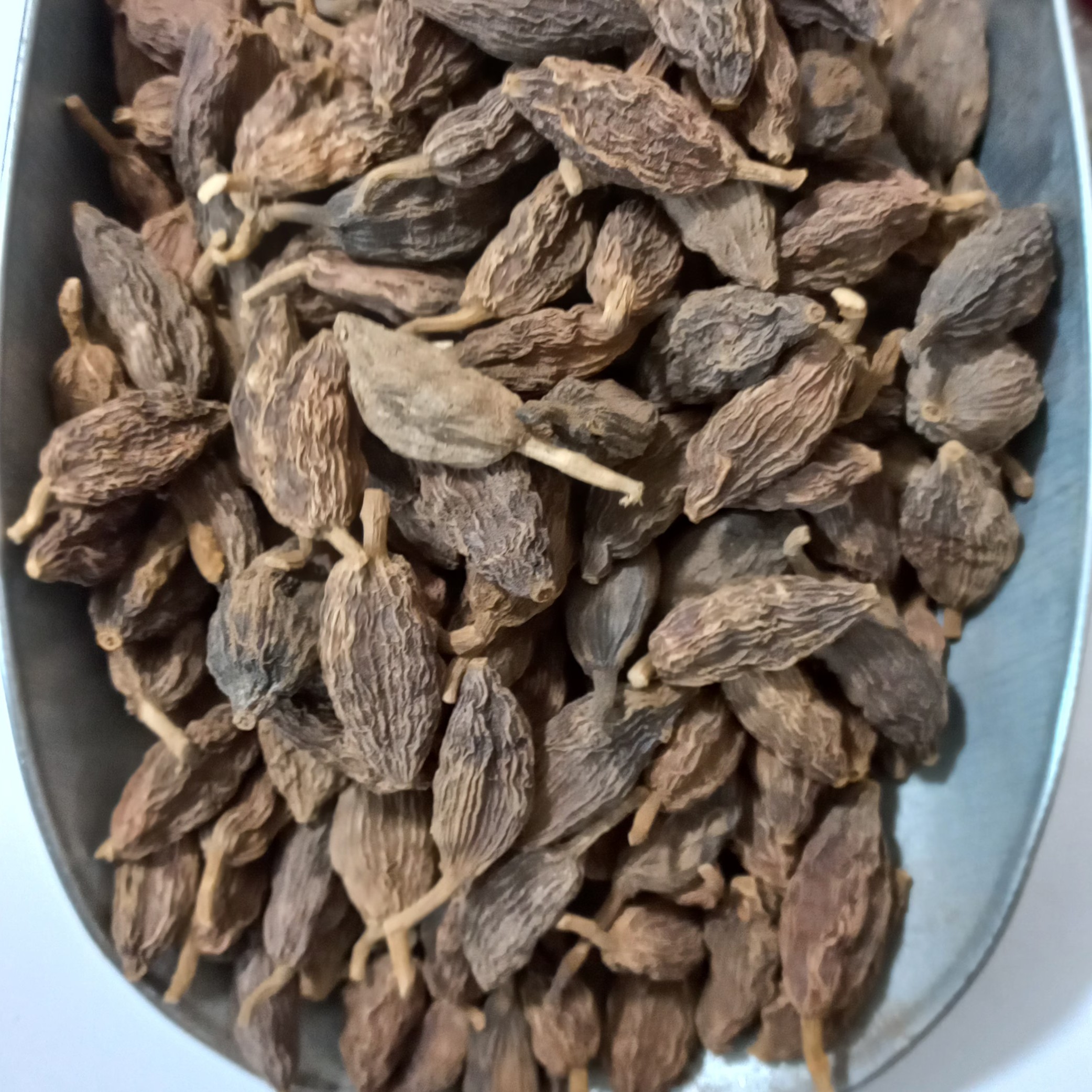 هل باد 