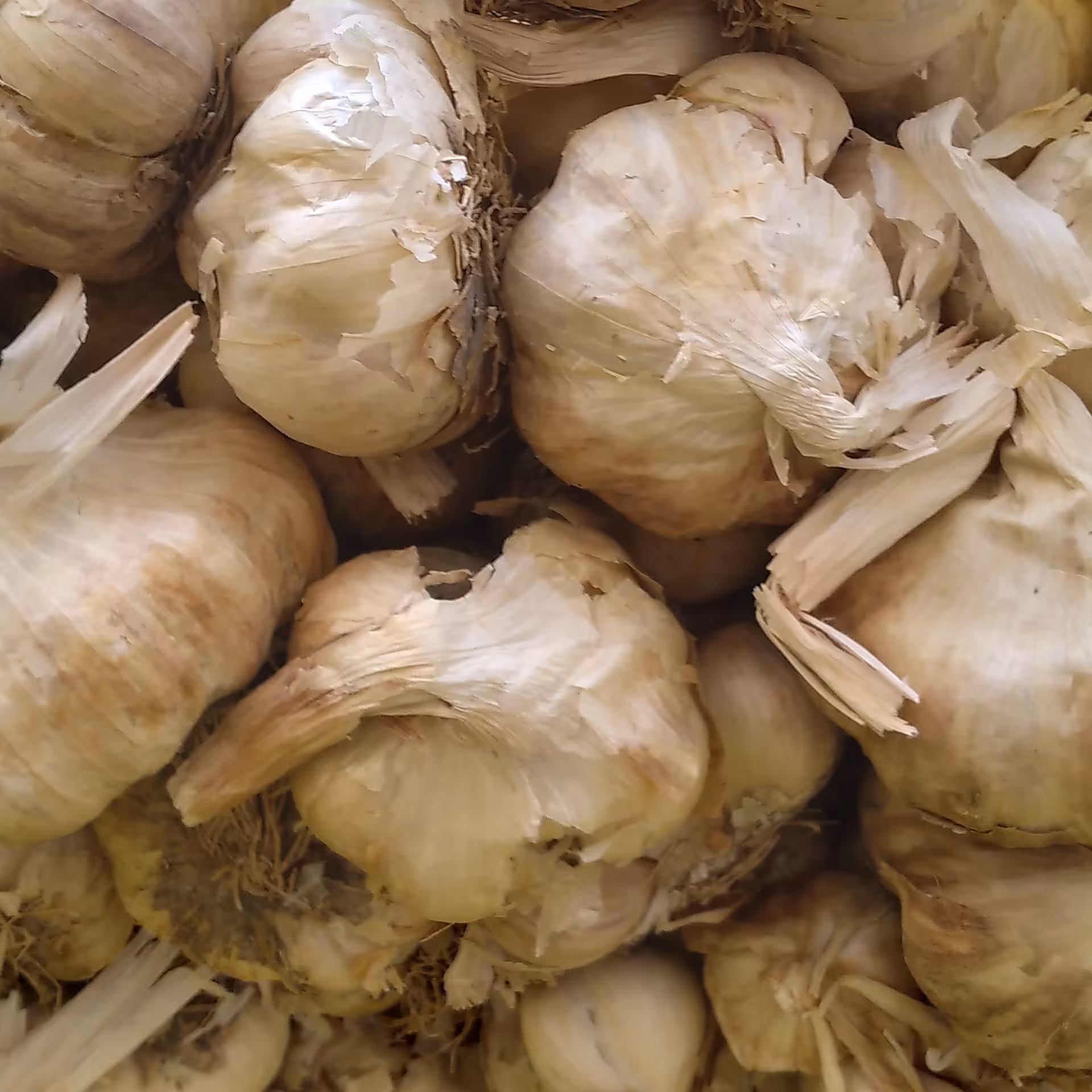 سیرسیاه همدان