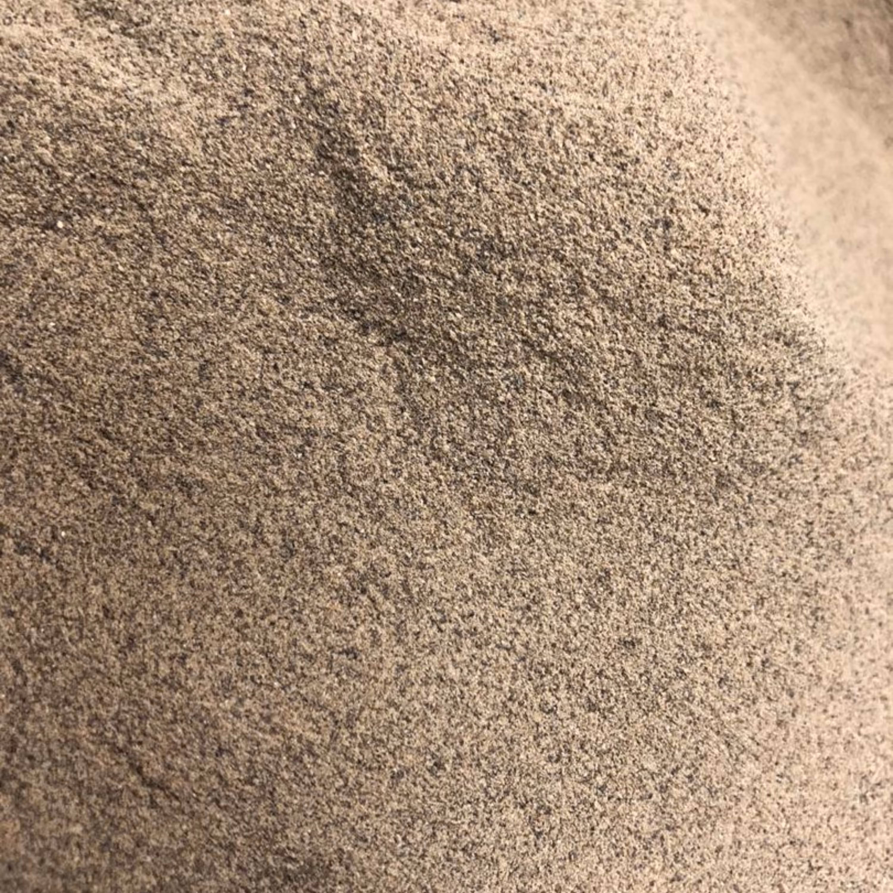 فلفل سیاه 6اینچ ویتنامی پودر خالص (هاش) مقدار (1000 گرمی)